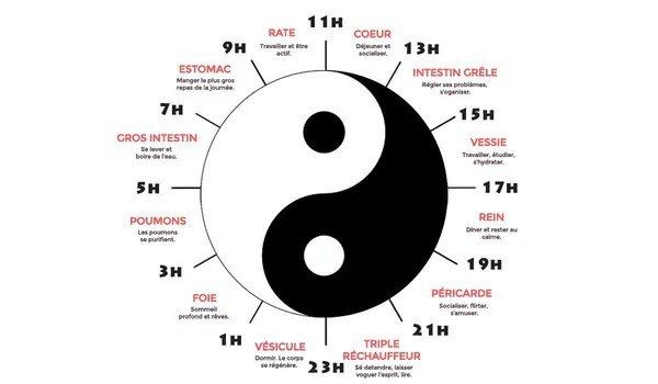 Quand dois-je venir voir mon acupuncteur?